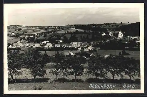 AK Olbendorf /Burgenland, Ortsansicht von einer Wiese aus