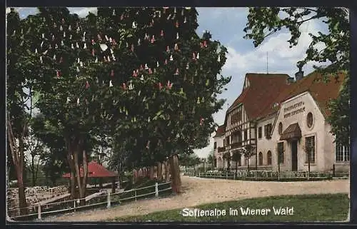 AK Wien, Restaurant Sofienalpe im Wienerwald