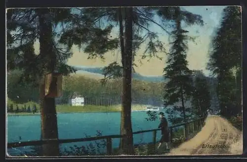 AK Erlaufsee, Seepartie mit Strasse und Bergpanorama