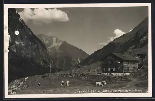 AK Ginzling /Zillertal, Gasthof Steinbock im Floitengrund gegen Grünberg