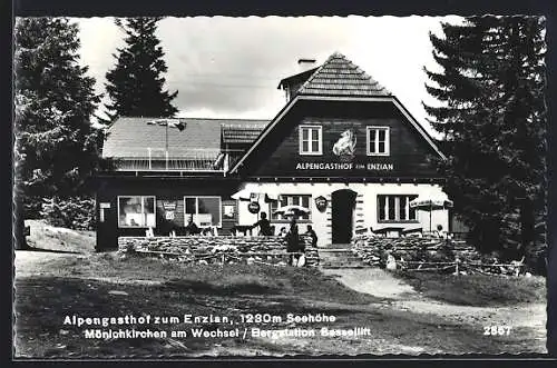 AK Mönichkirchen am Wechsel, Alpengasthof Enzian