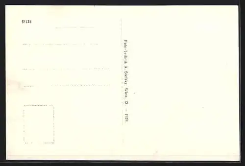 AK Pöllau, Gesamtansicht mit Kühen