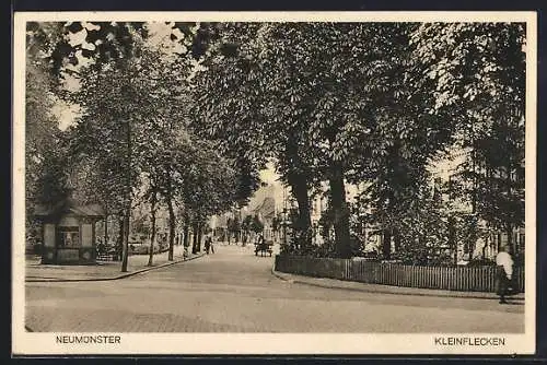 AK Neumünster, Strassenpartie Kleinflecken