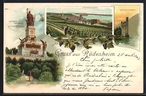Lithographie Rüdesheim / Rhein, Ortsansicht mit Umgebung, Niederwald-Denkmal