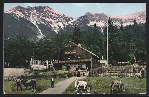 AK Innsbruck, Gramartboden, Alpengasthof Frau Hitt mit Kühen