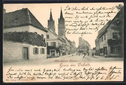 AK Oschatz, Altoschatzer Strasse mit Kirchtürmen