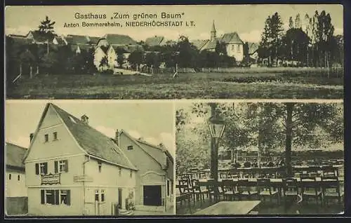 AK Niederhöchstadt i. T., Gasthaus Zum grünen Baum v. Anton Bommersheim mit Gartenwirtschaft