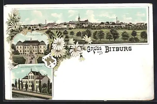 Lithographie Bitburg, Landwirtschafts-Schule, Waisenhaus und Totalansicht