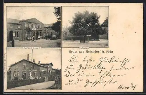 AK Meinsdorf / Rosslau, Gasthaus Wahrlich, Friedenseiche, Meierei