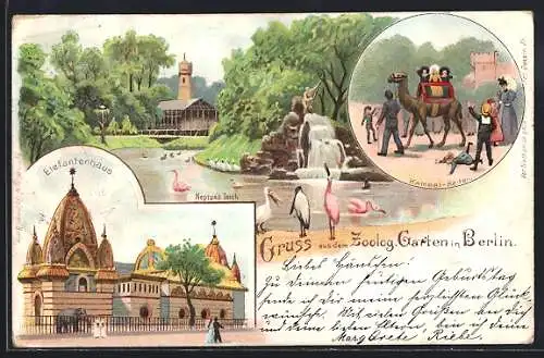 Lithographie Berlin-Charlottenburg, Zoologischer Garten, Neptuns-Teich, Kamel-Reiten und Elefantenhaus