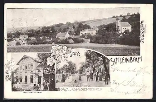 AK Schleinbach, Panorama, Mariannenheim und Linzerstrasse