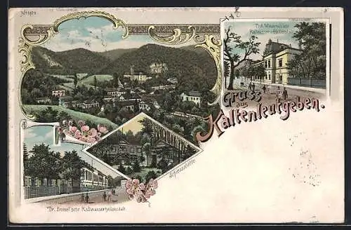 Lithographie Kaltenleutgeben, Prof. Winternitz`sche Kaltwasser-Heilanstalt, Dr. Emmel`sche Kaltwasserheilanstalt