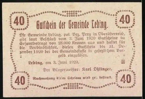 Notgeld Lebing 1920, 40 Kronen, Burg Geiersberg Motiv, Seriennummer und Wappen nicht angegeben