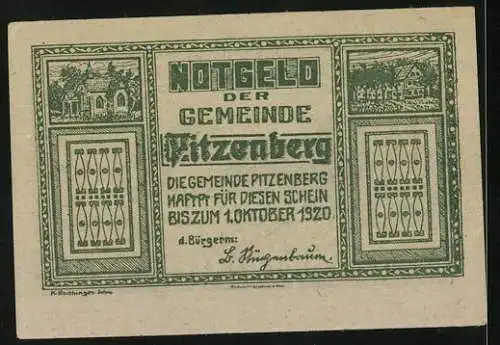 Notgeld Pitzenberg 1920, 10 Heller, Bauer mit Pferd und Pflug, ländliche Motive