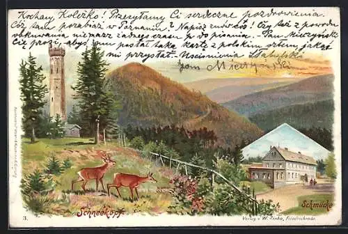 Lithographie Gehlberg, Hotel Schmücke, Aussichtsturm auf dem Schneekopf