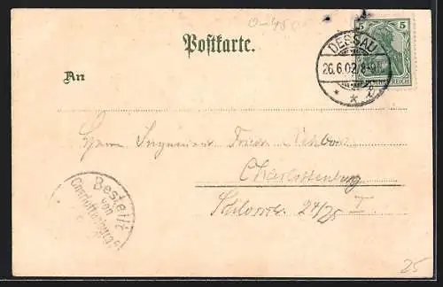 Goldfenster-AK Dessau, Das Schloss mit leuchtenden Fenstern