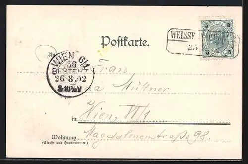 AK Neuhaus bei Weissenbach, Ortsansicht mit Hotel Stephanie