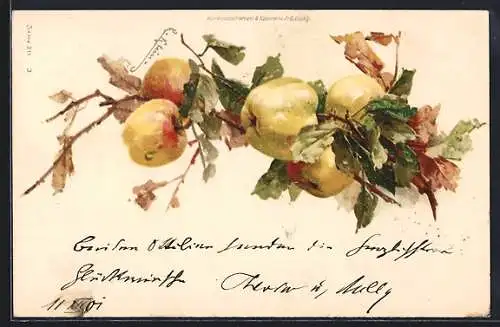 Künstler-AK Catharina Klein: Zweig mit Äpfeln und Blättern