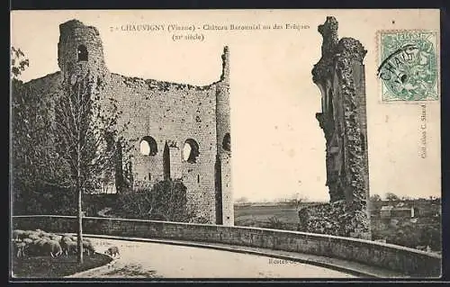 AK Chauvigny, Château Baronial ou des Évêques, XIe siècle