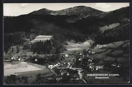 AK Stuben /Burgenland, Panorama mit Strassenpartie