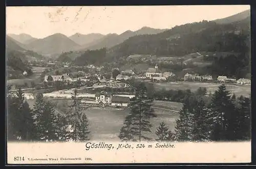 AK Göstling /N.-Oe., Panorama mit Kirche