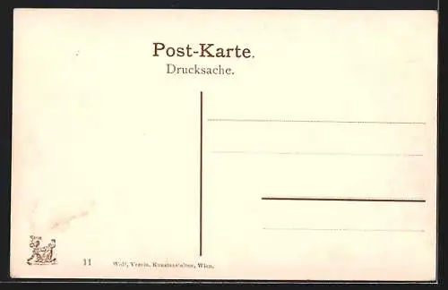 AK Wien, Graben, Strassenpartie