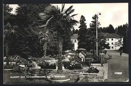 AK Bad Tatzmannsdorf /Bgld., Partie im Kurpark