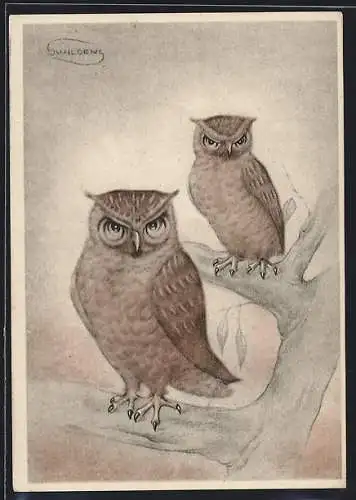 Künstler-AK Swildens: Zwei Eulen auf einem Baum