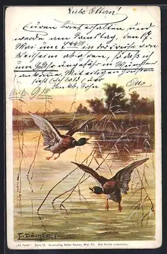 Künstler-AK E. Döcker: Wildenten über einem See