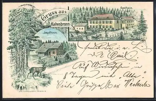 Lithographie Kaltenbronn, Jagdhaus und Gasthaus