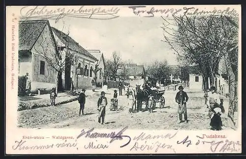 AK Budakeszi, Waldgasse mit Kutsche und Einwohnern