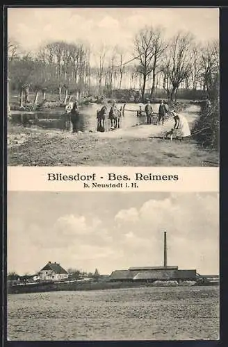 AK Bliesdorf Neustadt / Holst., Bes. Reimers, Anwesen mit Landstrasse und Fabrik, Wasserpartie mit Pferden