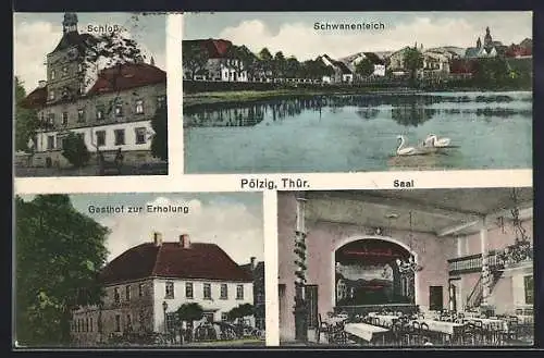 AK Pölzig /Th., Gasthof zur Erholung mit Saal, Schloss, Schwanenteich