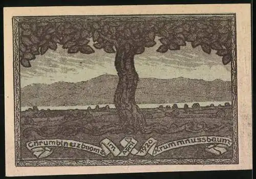 Notgeld Krummnussbaum 1920, 10 Heller, zwei Männer und Landschaft mit Baum und See