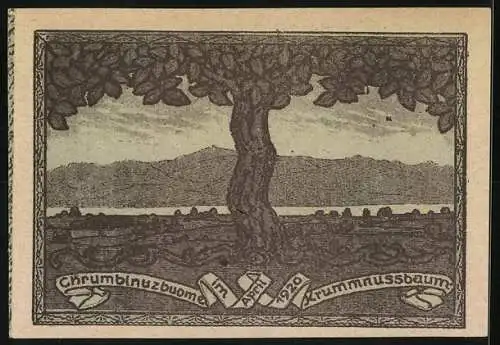 Notgeld Krummussbaum 1920, 20, Stadtansicht und Baum mit Landschaft im Hintergrund