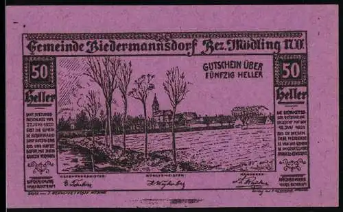 Notgeld Biedermannsdorf 1920, 50 Heller, Landschaft mit Bäumen und Dorfansicht