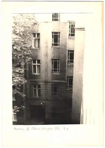 Fotografie F. M. Schimmel, Berlin, Ansicht Berlin, Hausfasade im Innenhof Grosse Hamburgerstrasse 31