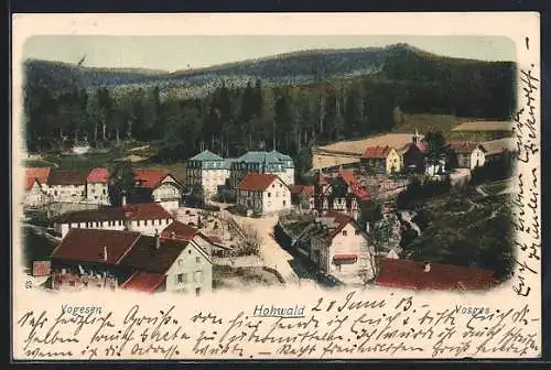 AK Hohwald /Vogesen, Ortsansicht mit Strasse aus der Vogelschau