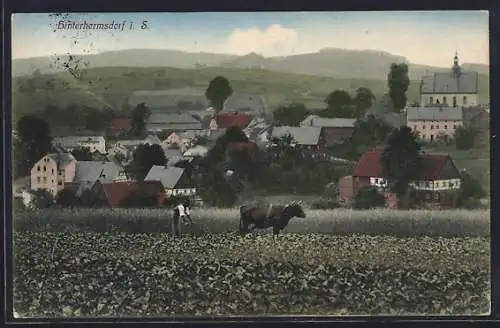 AK Hinterhermsdorf, Ansicht des Ortes