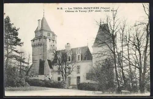 AK Les Trois-Moutiers, Château de Ternay, XV? siècle, Côté Nord