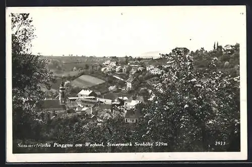 AK Pinggau am Wechsel, Panorama mit Kirche