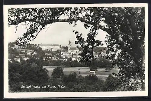 AK Steinakirchen am Forst /N. Oe., Teilansicht mit Kirche