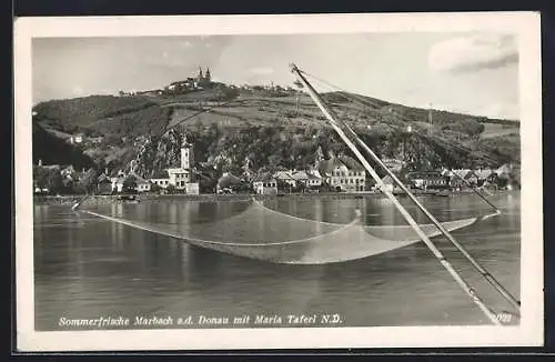 AK Marbach a. d. Donau /N. D., Teilansicht mit Kirche Maria Taferl