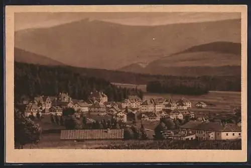 AK Haidmühle i. bayr. Wald, Ortsansicht mit Berglandschaft