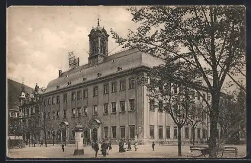 AK Heidelberg, Die Universität