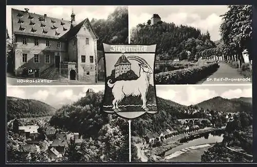 AK Ziegenrück / Saaletal, Rathakeller, Gesamtansicht, Wappen