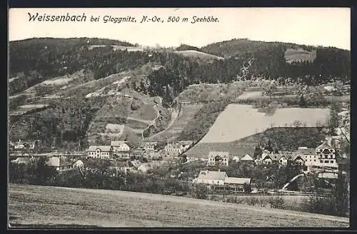 AK Weissenbach bei Gloggnitz, Ortsansicht aus der Vogelschau