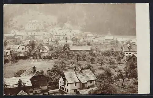 Foto-AK Hallstatt, Blick auf Lahn um 1900