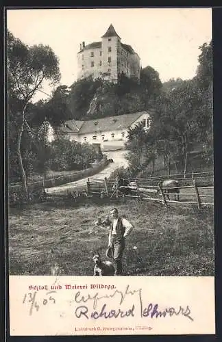 AK Sittendorf /Wienerwald, Schloss und Meierei Wildegg, Mann mit Hund