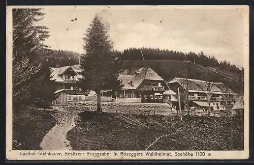 AK Alpl, Franz Bruggraber v. Steinbauers GAsthaus zur Rosegger`s Waldheimat